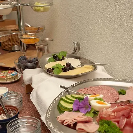 בית הארחה Thieshof אמליינגהאוזן